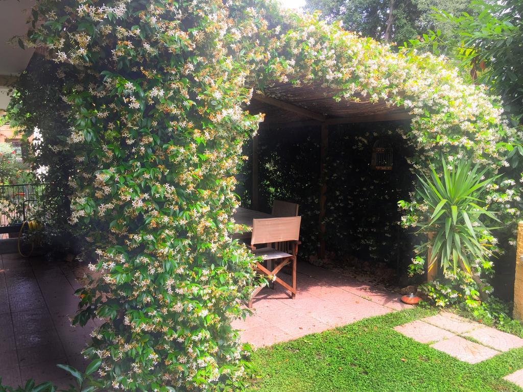Bed and Breakfast Le Pinette Ameglia Zewnętrze zdjęcie