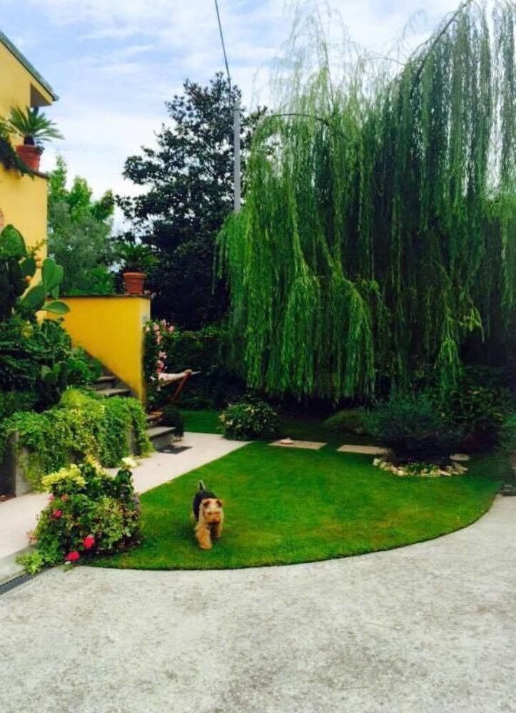 Bed and Breakfast Le Pinette Ameglia Zewnętrze zdjęcie